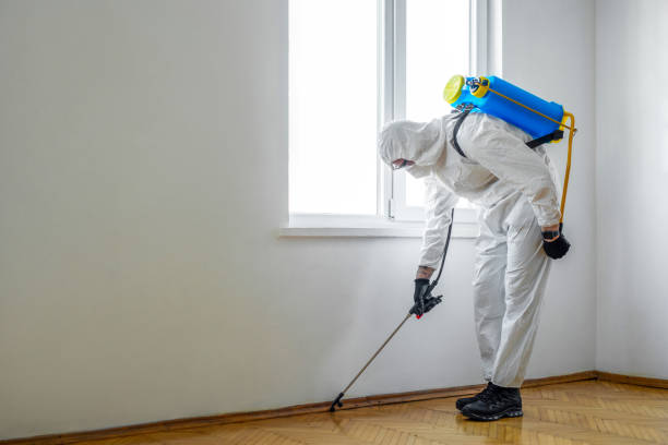 Best Termite Inspection and Treatment  in Tierra Verde, FL